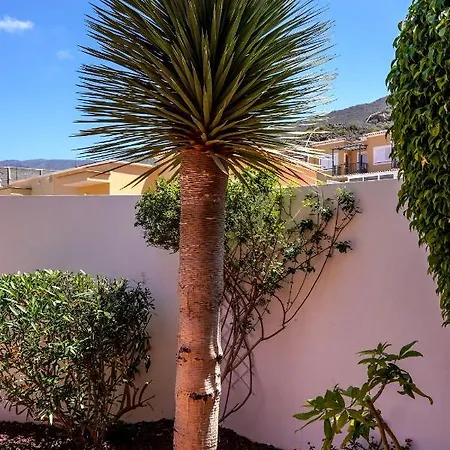 Vila Paloma Roque Del Conde *